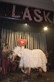 img00065[1]